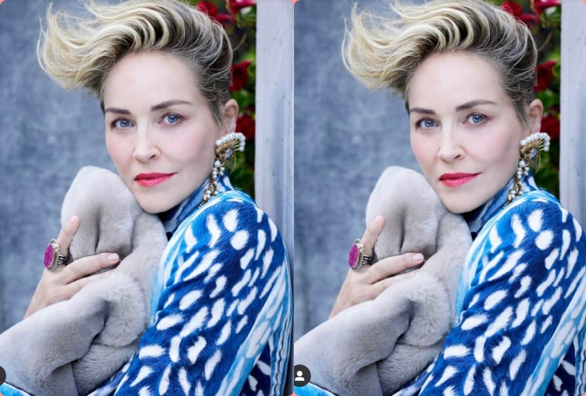 basic instinct actress sharon stone revealed how grandfather physically molested her and sister in childhood
