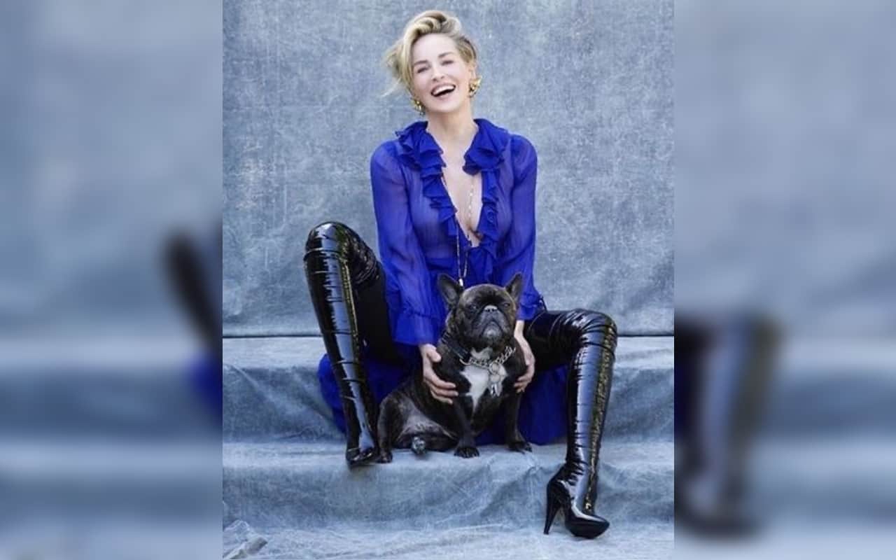 basic instinct actress sharon stone revealed how grandfather physically molested her and sister in childhood