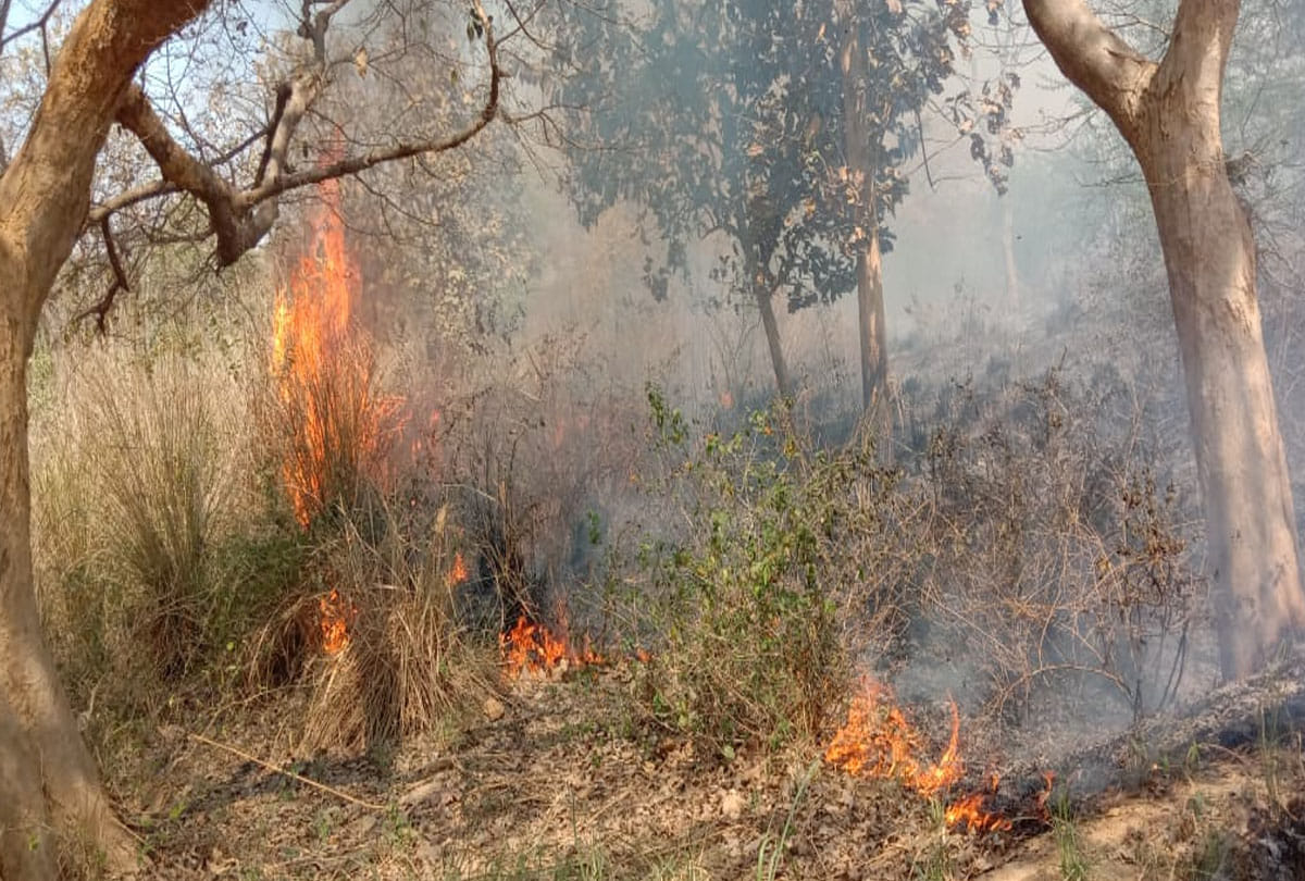 fire in Forest and farm in Fatehpur