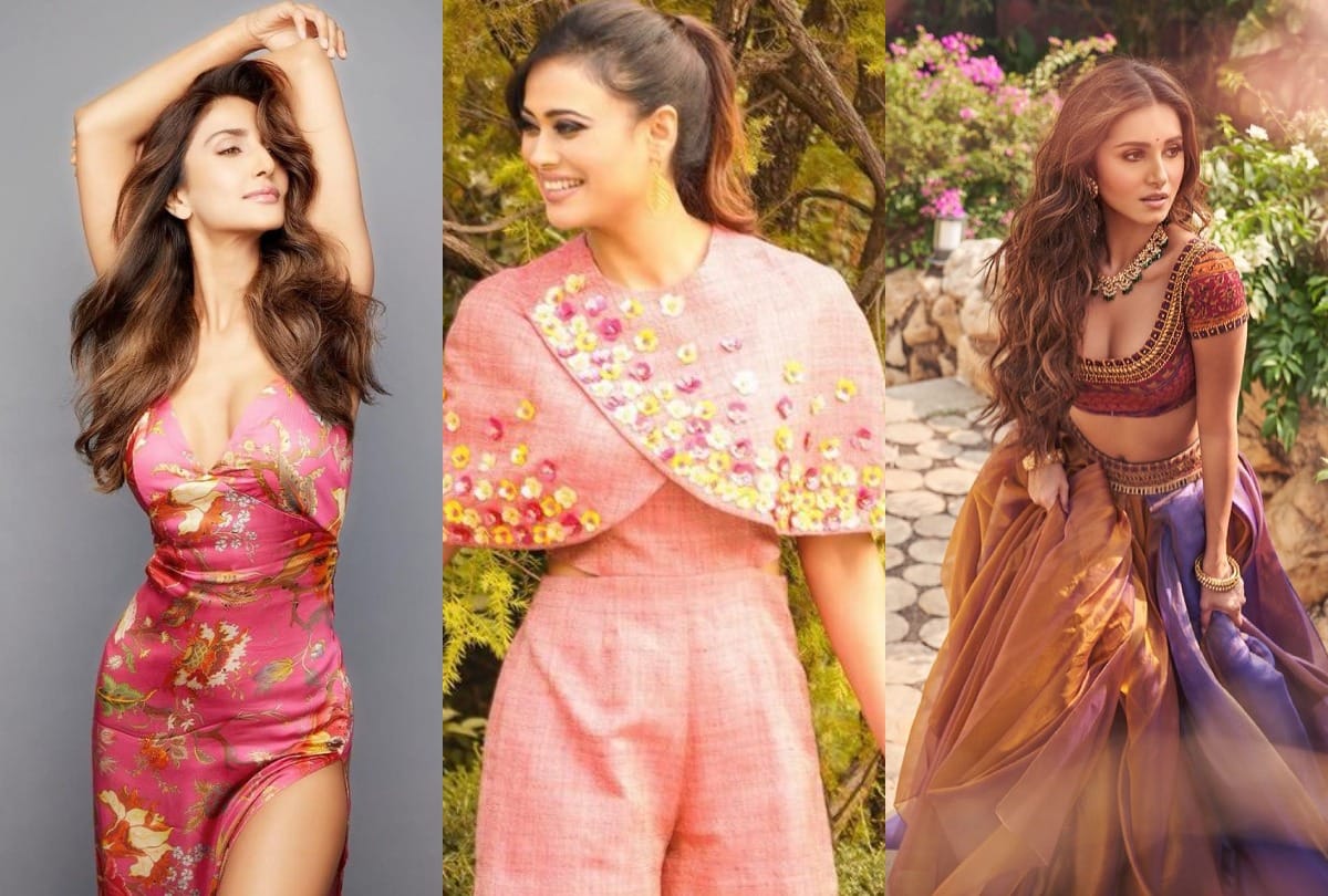 Tara Sutaria, Shweta Tiwari And Vaani Kapoor Shares Pictures On Social Media Goes Viral