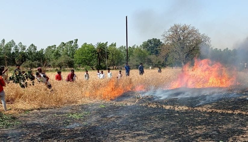 52 bigha crop ashes due to fire, householder also burnt