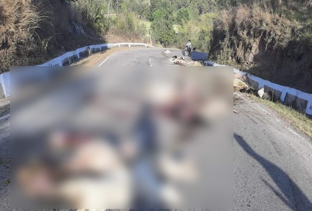 32 sheep and goats died and 20 injured after hit by high speed truck