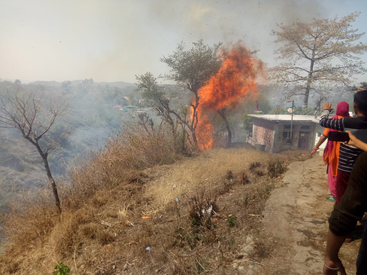 Fire in Chamund, wheat crop including forest estates ashes