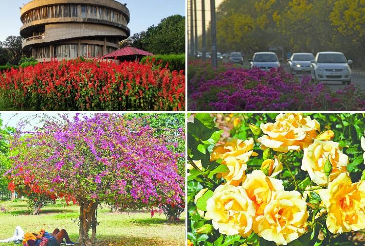 See the Natural beauty of Chandigarh in these photos
