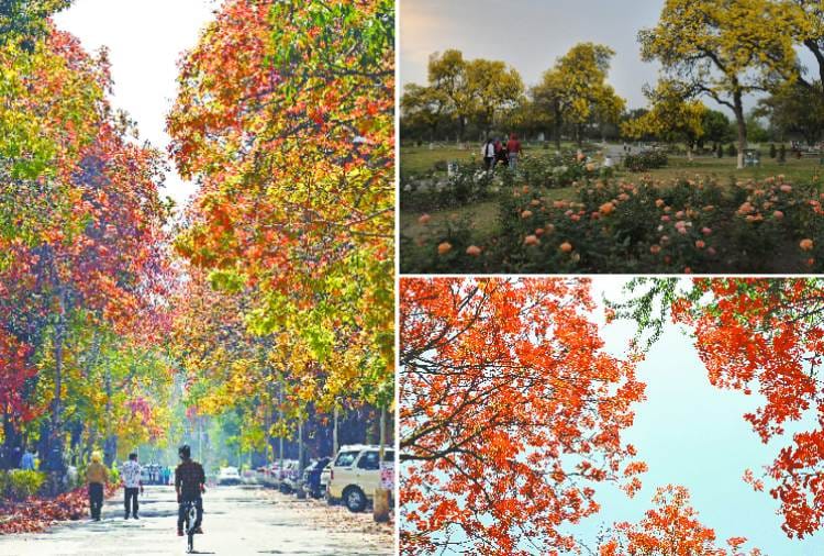 See the Natural beauty of Chandigarh in these photos