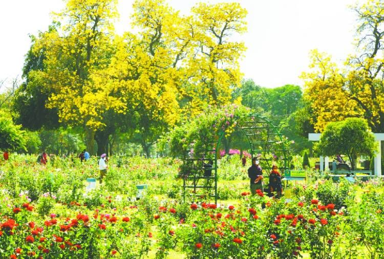 See the Natural beauty of Chandigarh in these photos