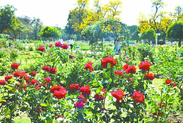 See the Natural beauty of Chandigarh in these photos