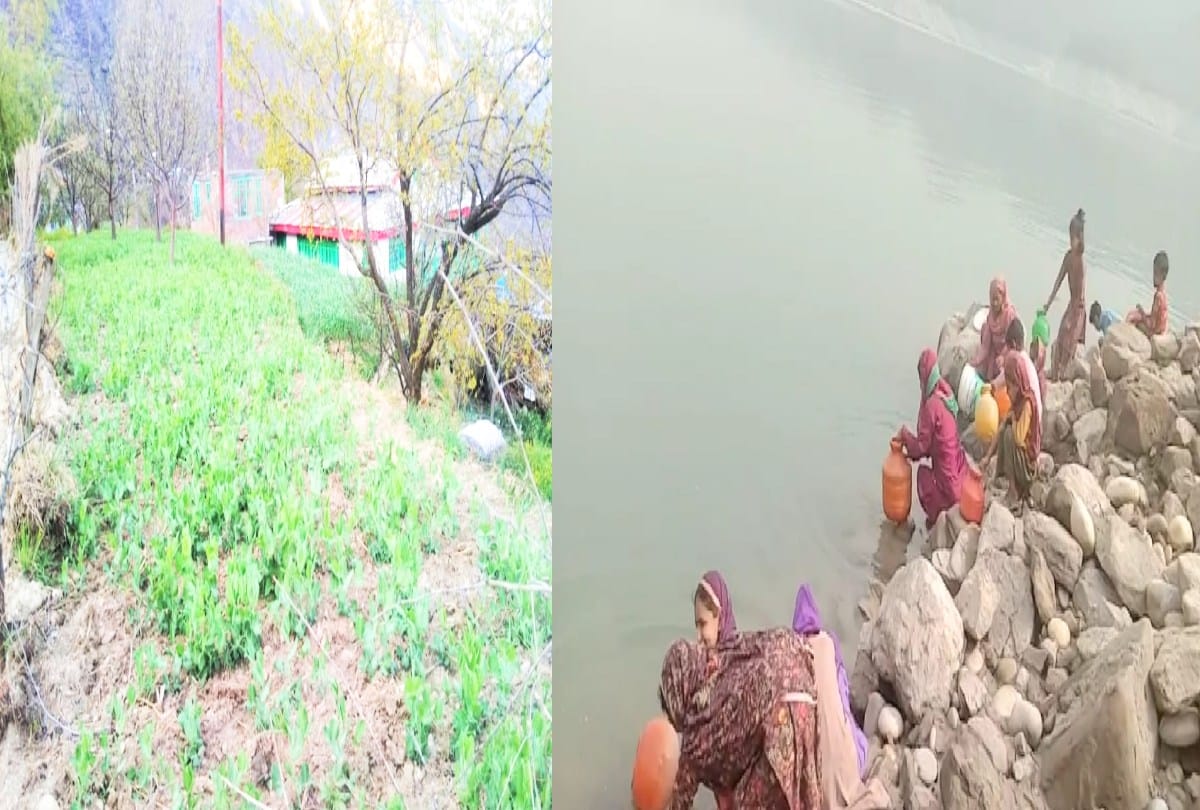 Himachal govt sought reports from agriculture officials about the damage done to agricultural crops due to drought