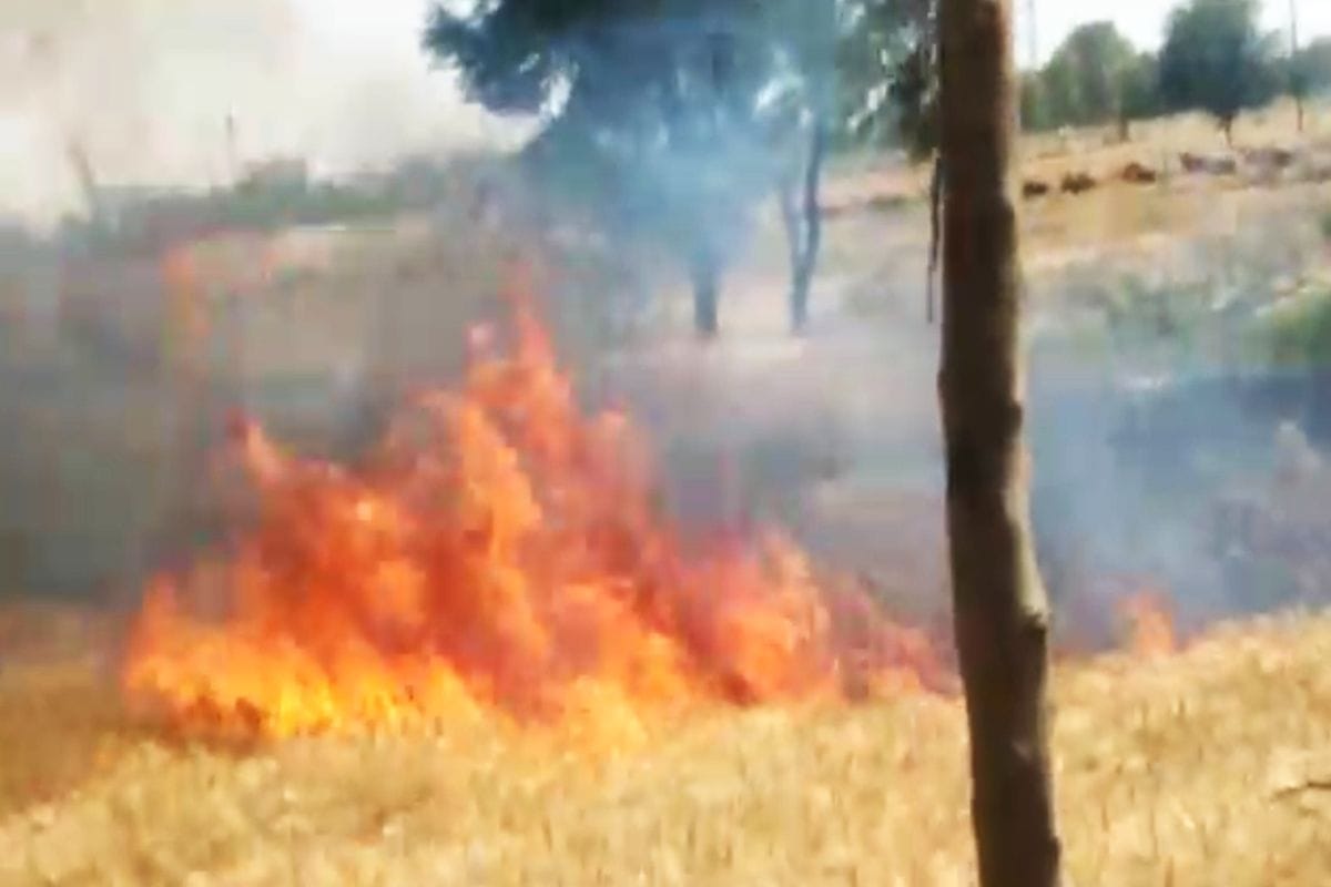 Tundla news,thana tundla,gadi bhagwant,gadi bhagwant tundla,fire in crops