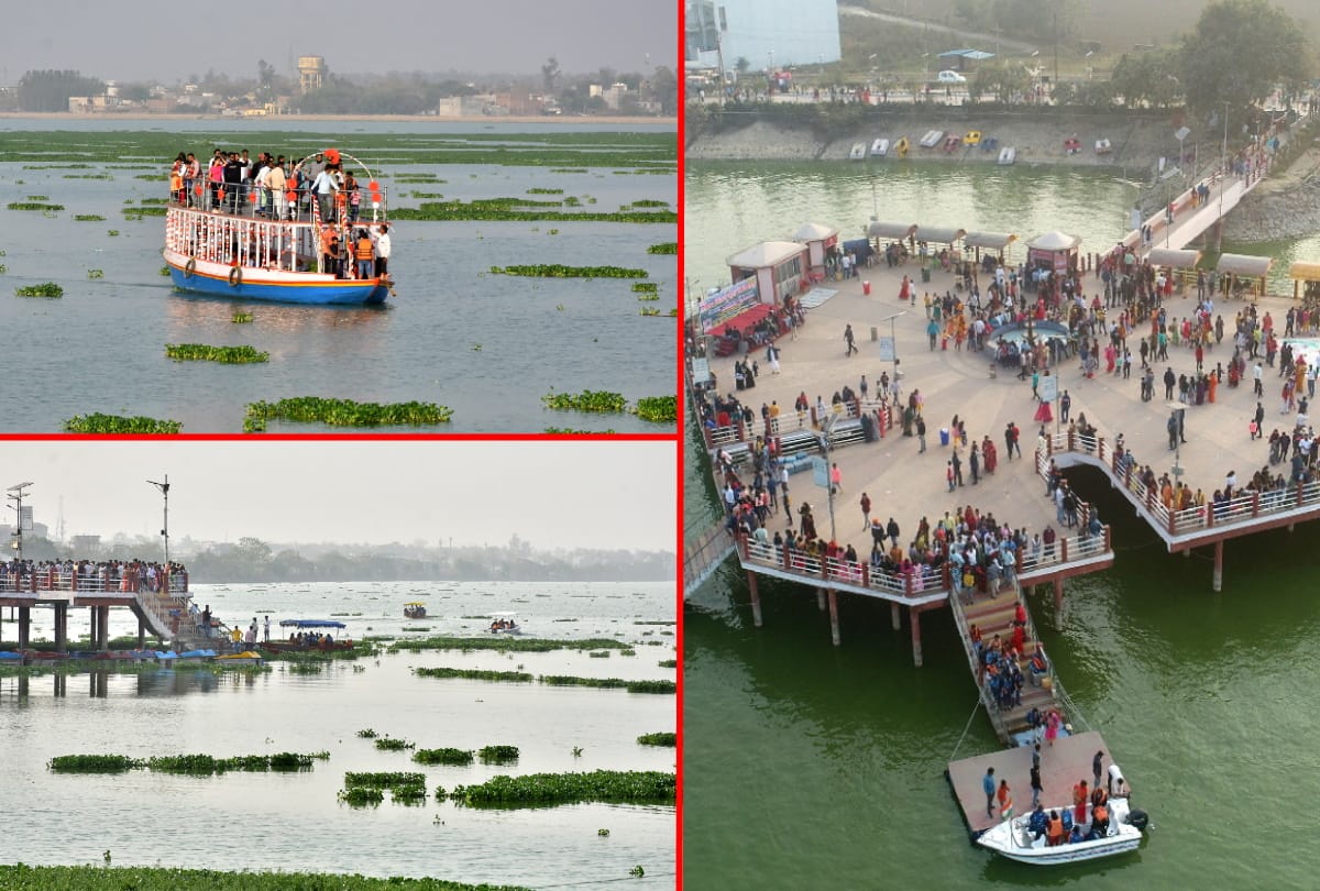 Ramgarh tal water hyacinth Special story from gorakhpur