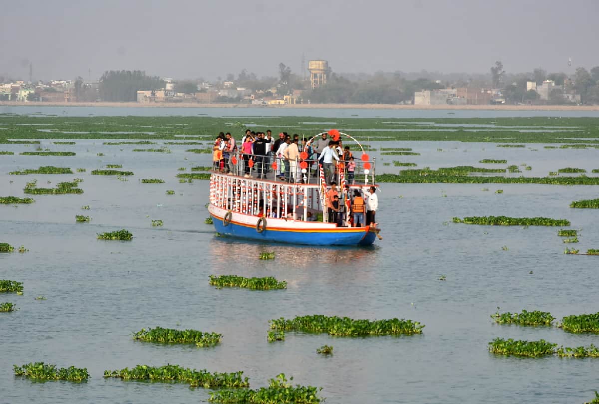 Water hyacinth spread in Ramgarh Taal will clear in four months at gorakhpur