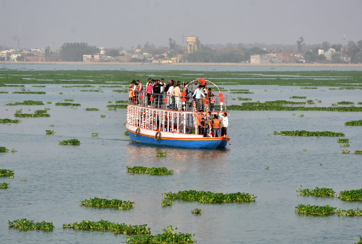 Hyacinth spread in Ramgarh Tal Gorakhpur