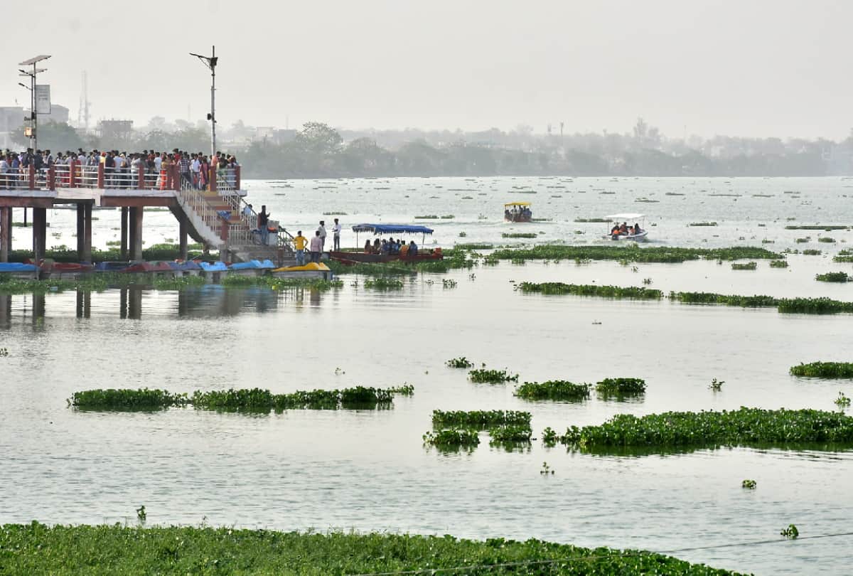 Water hyacinth spread in Ramgarh Taal will clear in four months at gorakhpur