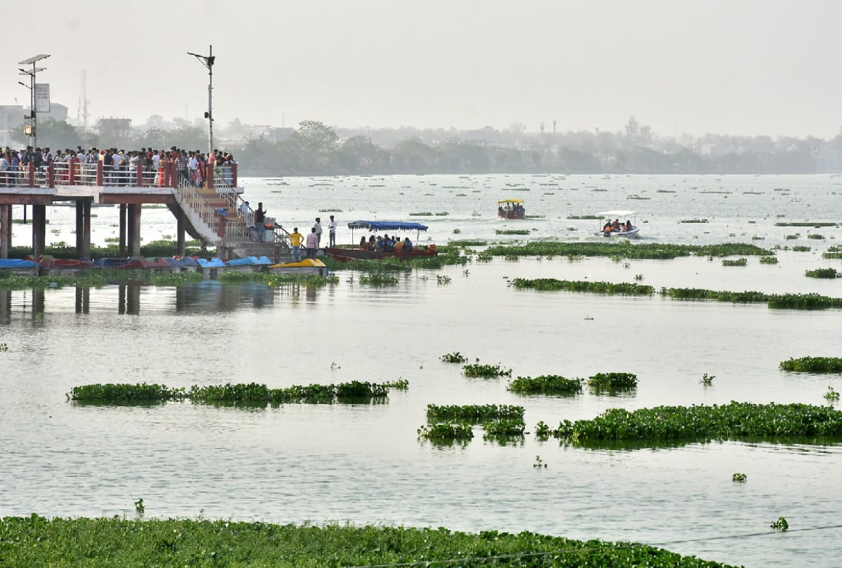 Hyacinth spread in Ramgarh Tal Gorakhpur
