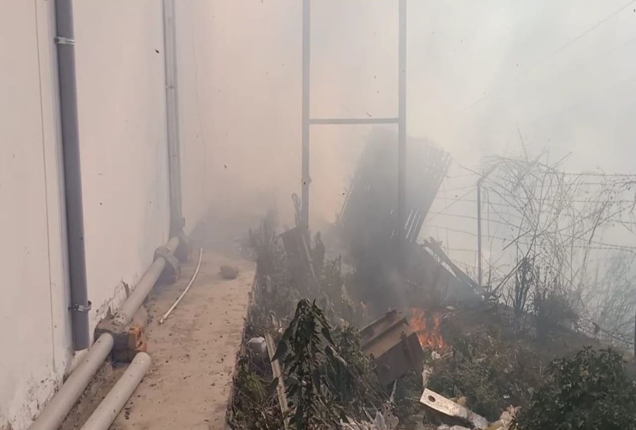 uttarakhand news : wildfire in uttarakhand forest, Forest wealth ruined photos