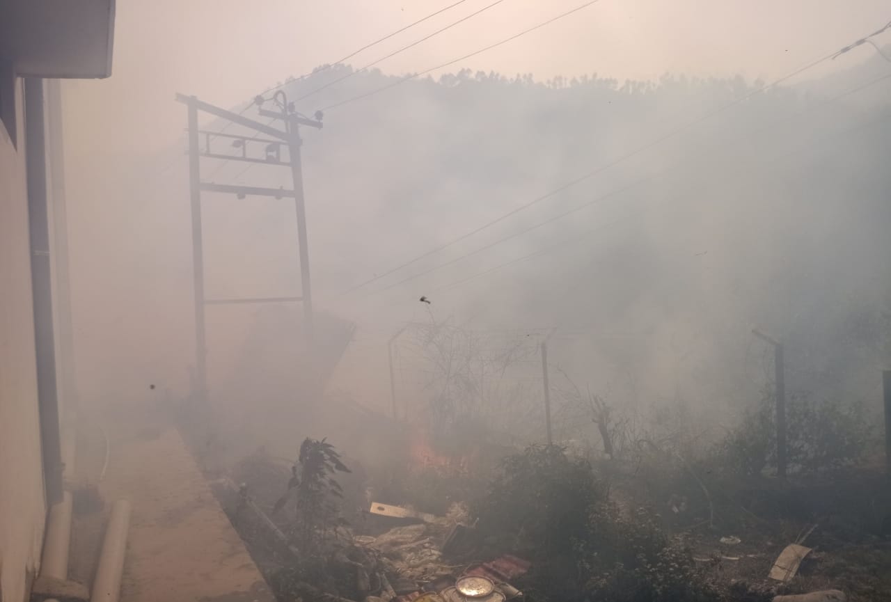 uttarakhand news : wildfire in uttarakhand forest, Forest wealth ruined photos