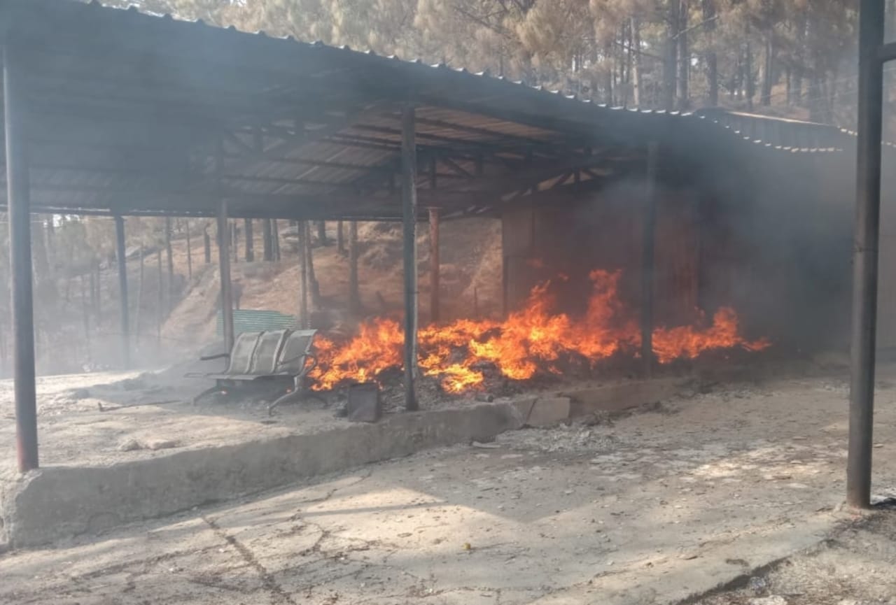 uttarakhand news : wildfire in uttarakhand forest, Forest wealth ruined photos