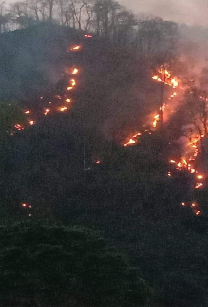Wildfire in uttarakhand : 400 fires incidence occurred in a year, property worth Rs 3.5 crore burnt