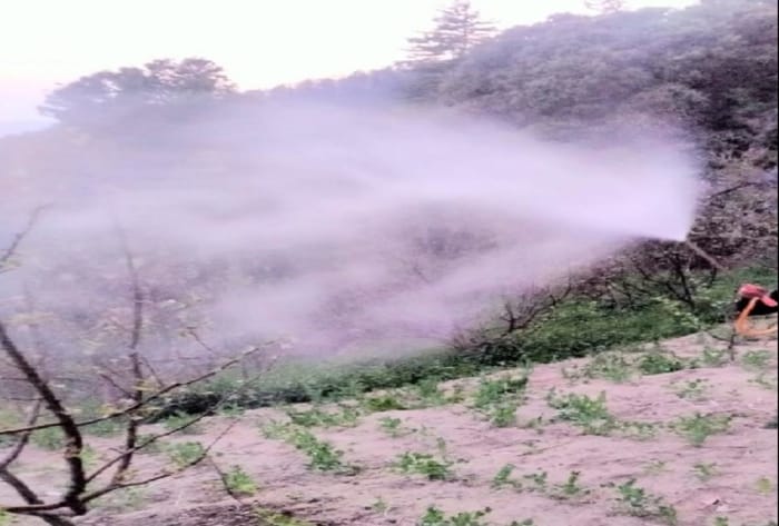 Agriculture and horticulture become poisonous due to pesticides, natural farming schemes did not take off.