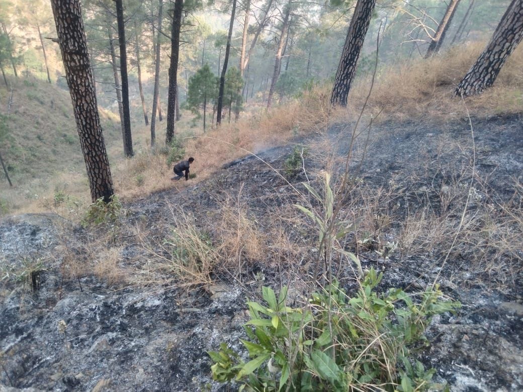Burns two hectares of forest in a fire that rages in the forests