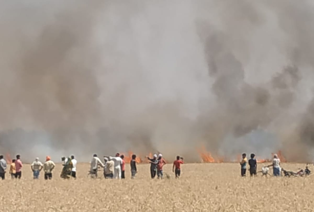 200 acres of wheat crop burnt in deoria