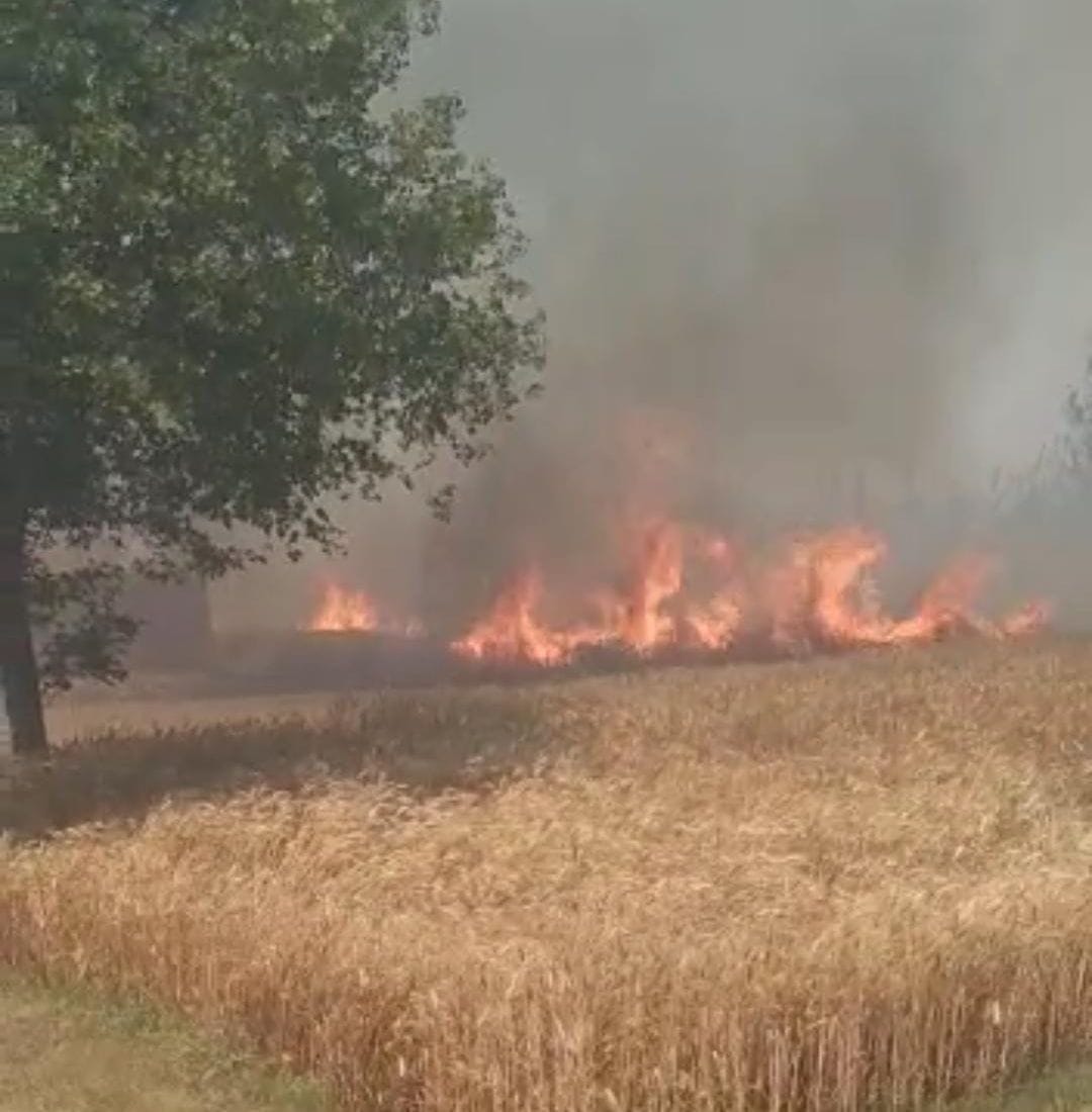80 bigha wheat crop deystroy in fire