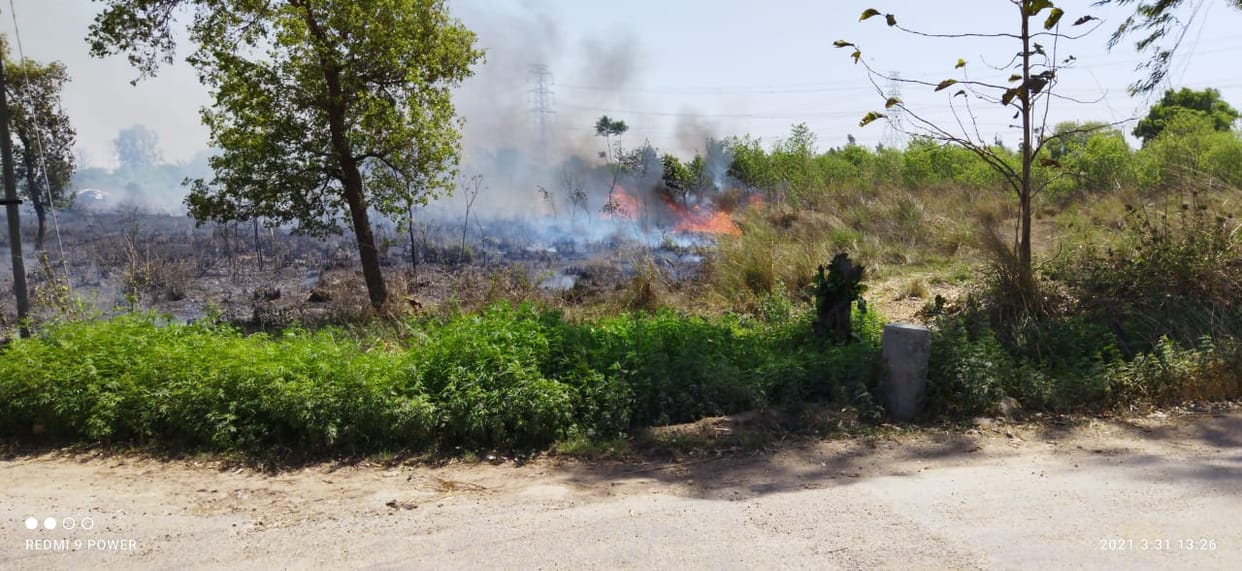 Fire in pasture ... Fire Department extinguished in half an hour