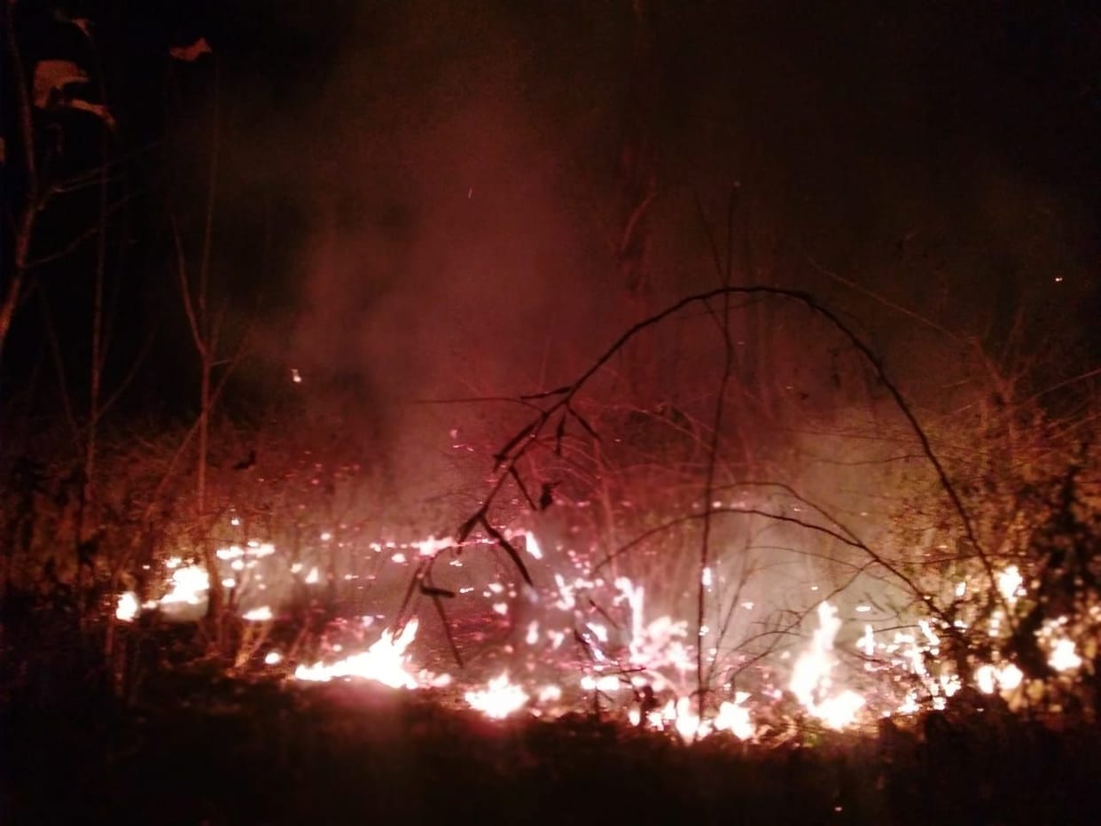 Haldwani range burns hundreds of acres of forest