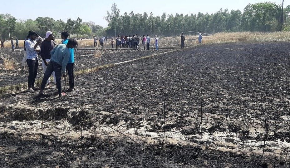 The fury of fire, crop burns at some places and burns at some places
