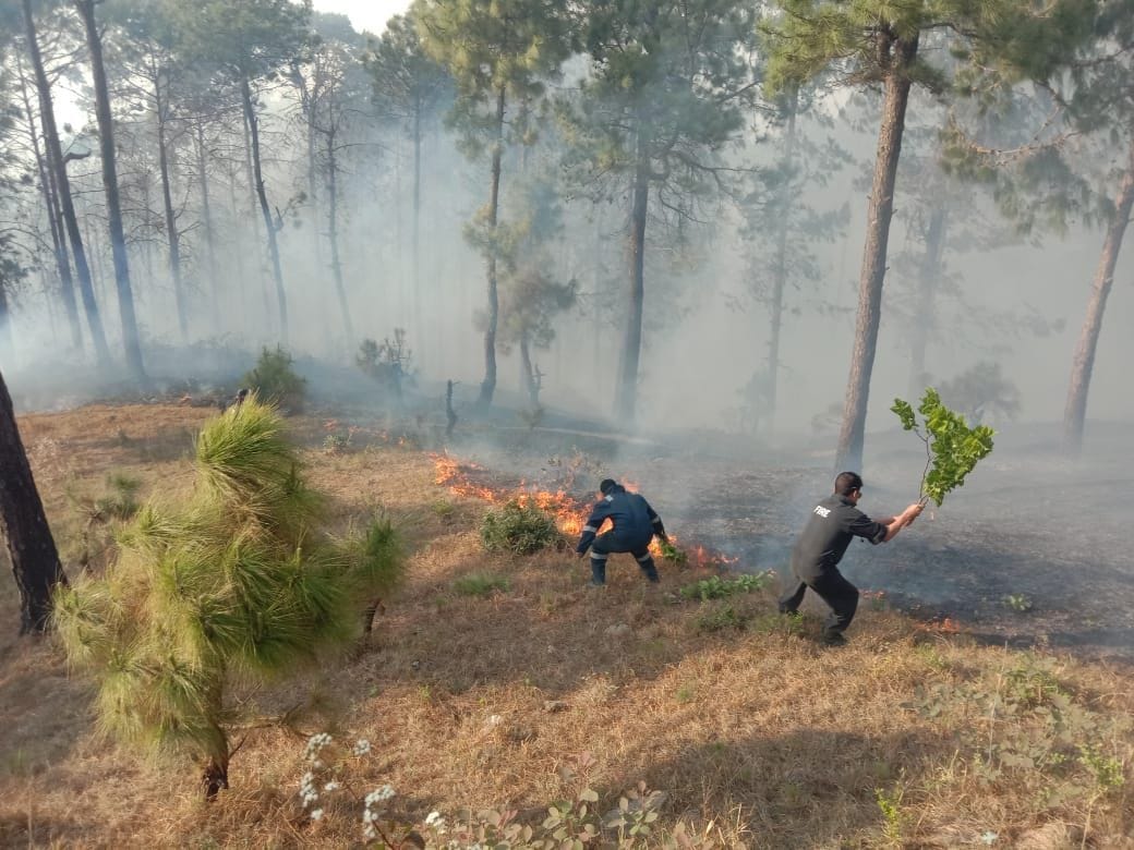 Forest fire reaches residential area of Majkhali area