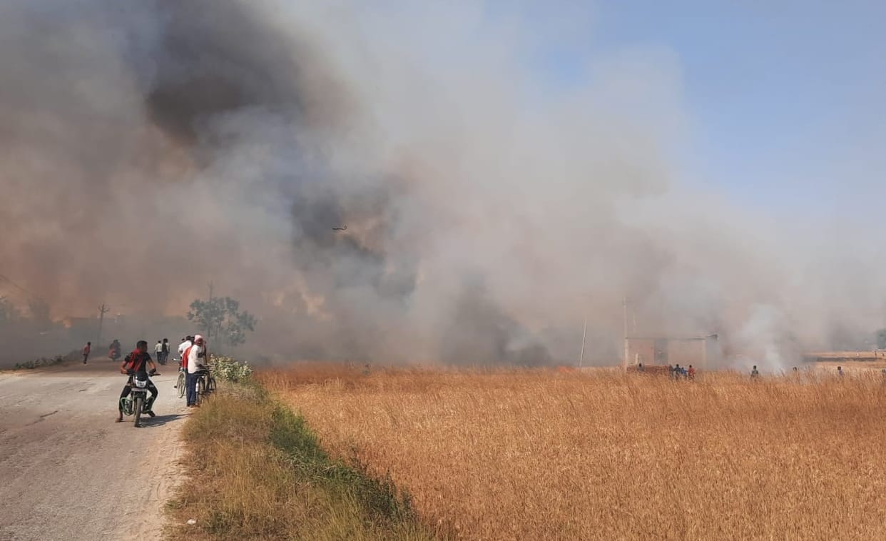 Wheat crop burnt by short circuit in Chandauli