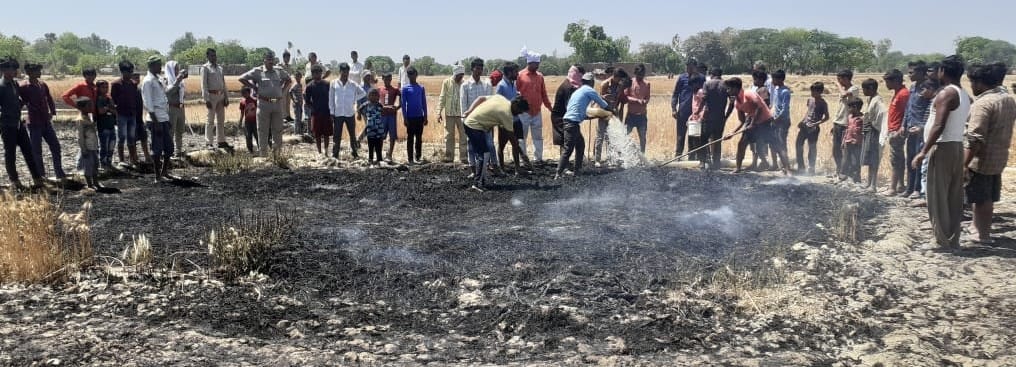 Four acres of wheat crop burnt to ashes in fire