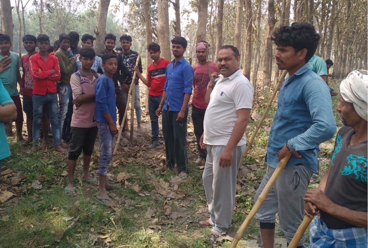 Three people injured in leopard attack at maharajganj