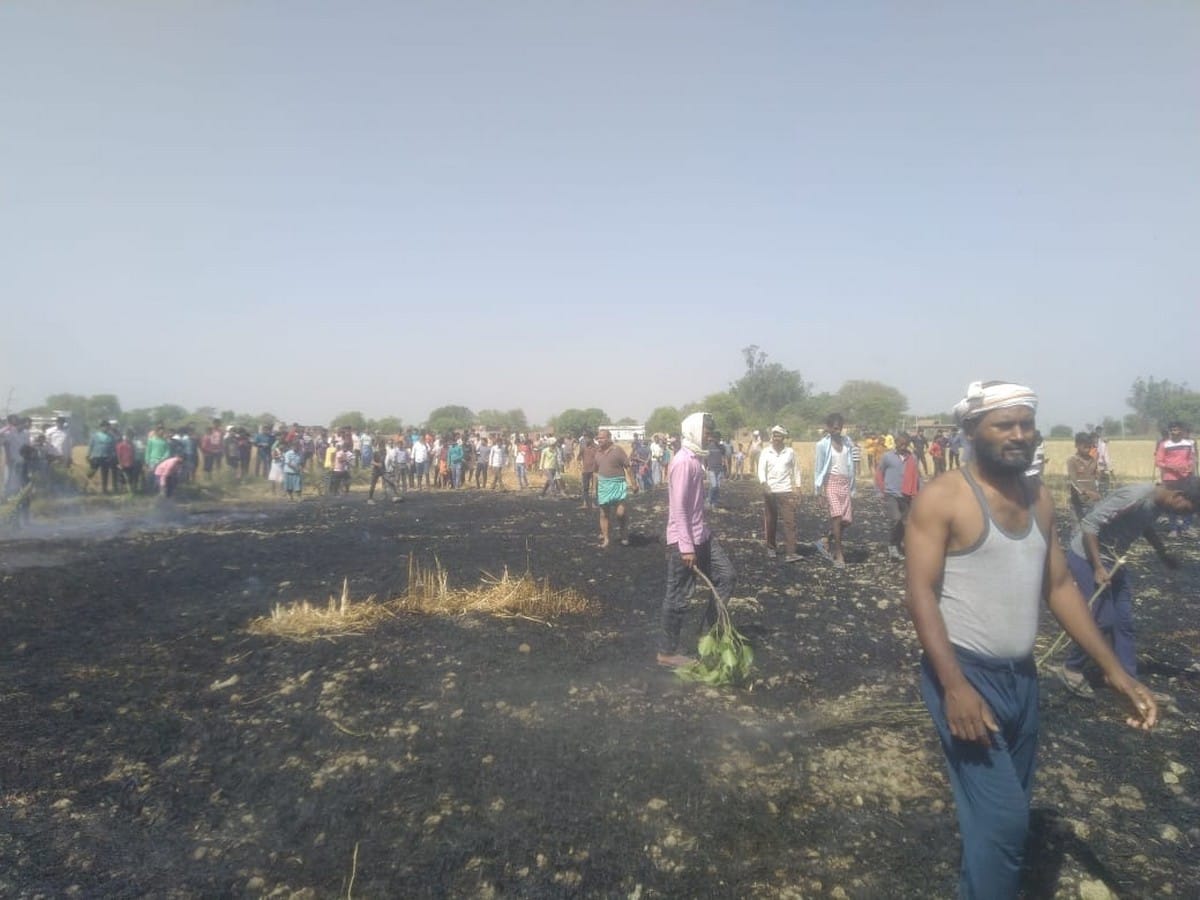 Wheat crop burnt by short circuit 25 bigha in chandauli
