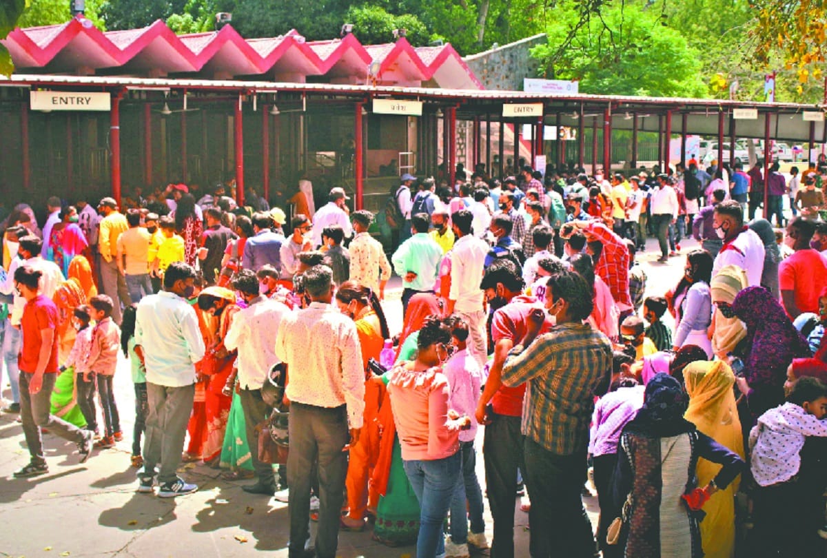 Delhi Zoo opened after 12 months