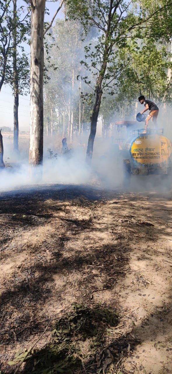Fire in the forest of Naggal village, fire brigade extinguished