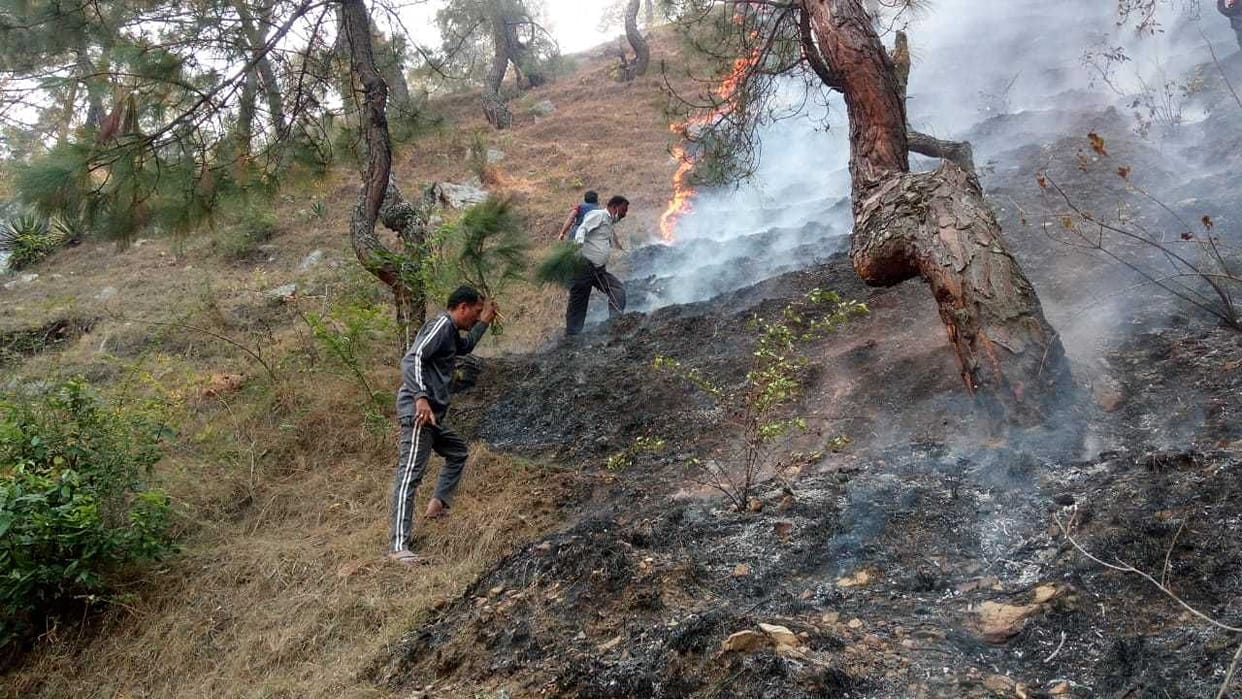 Forest Fire in Bageshwar
