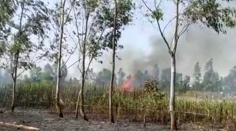 63 house and 64 bigha crop burnt to ashes