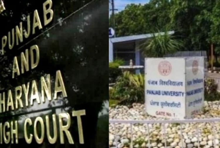 Punjab And Haryana Highcourt orders Panjab University to conduct Senate Election in two months