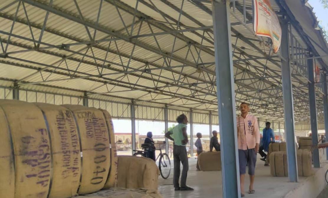 Arrangements incomplete, could not start wheat procurement