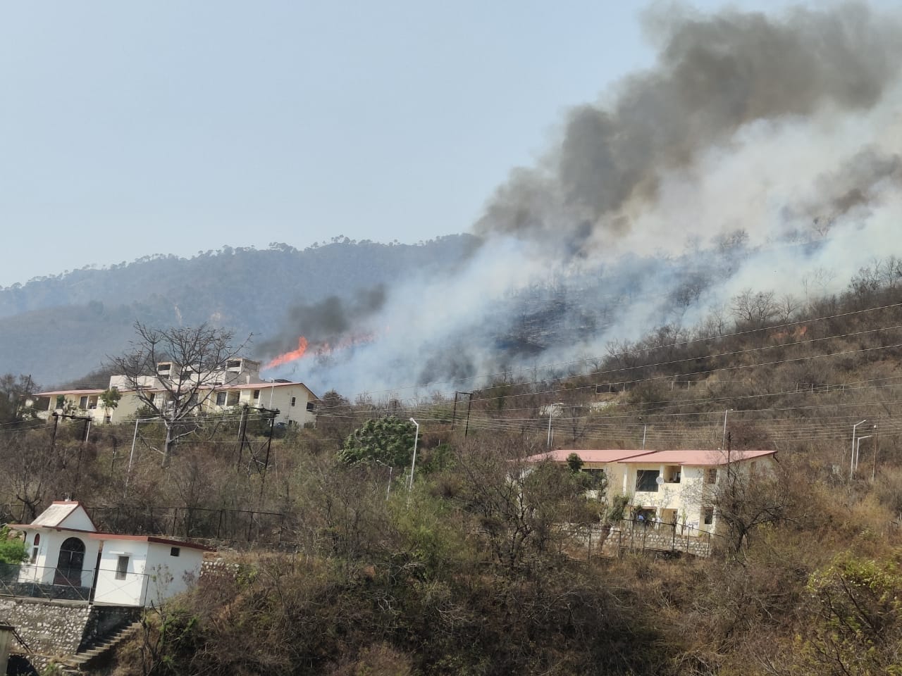 Wildfire in uttarakhand : inter college burnt in forest fire at kotdwar, photos