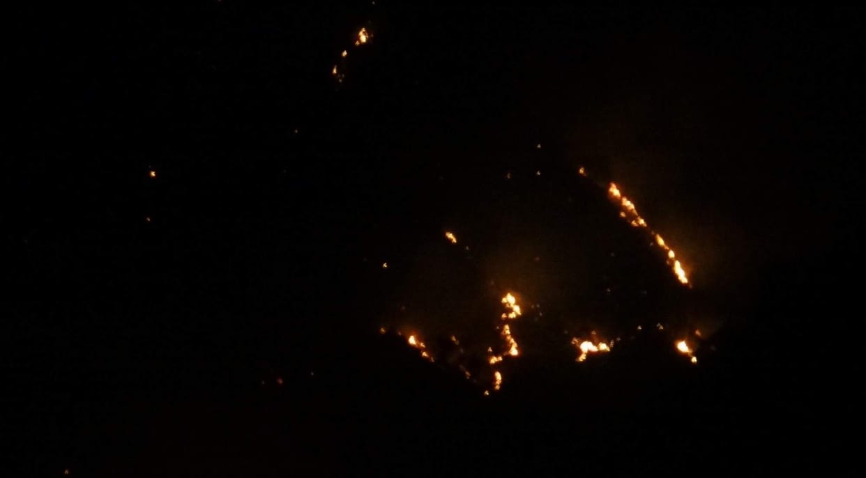 Gauhari range forest fire, destroyed several hectares of forest wealth