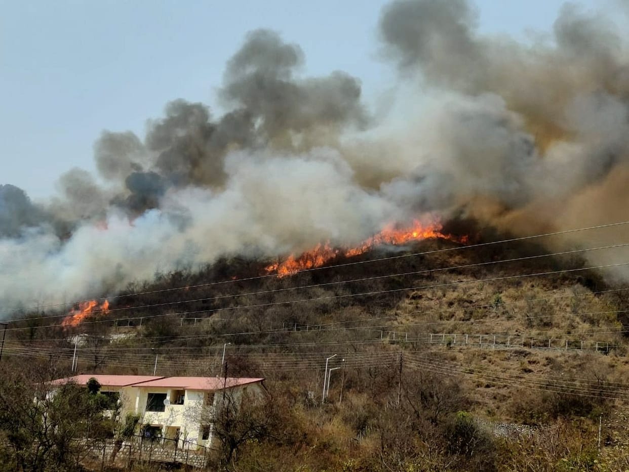 A fierce fire in the forest adjacent to the residential complex of Garhwal University