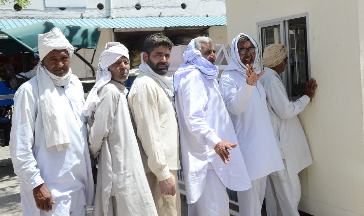 farmers, reached grain market, crops purchasing