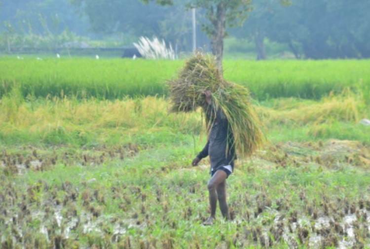 Punjab Farmers reply on Bonded Labor allegation of Union Home Ministry