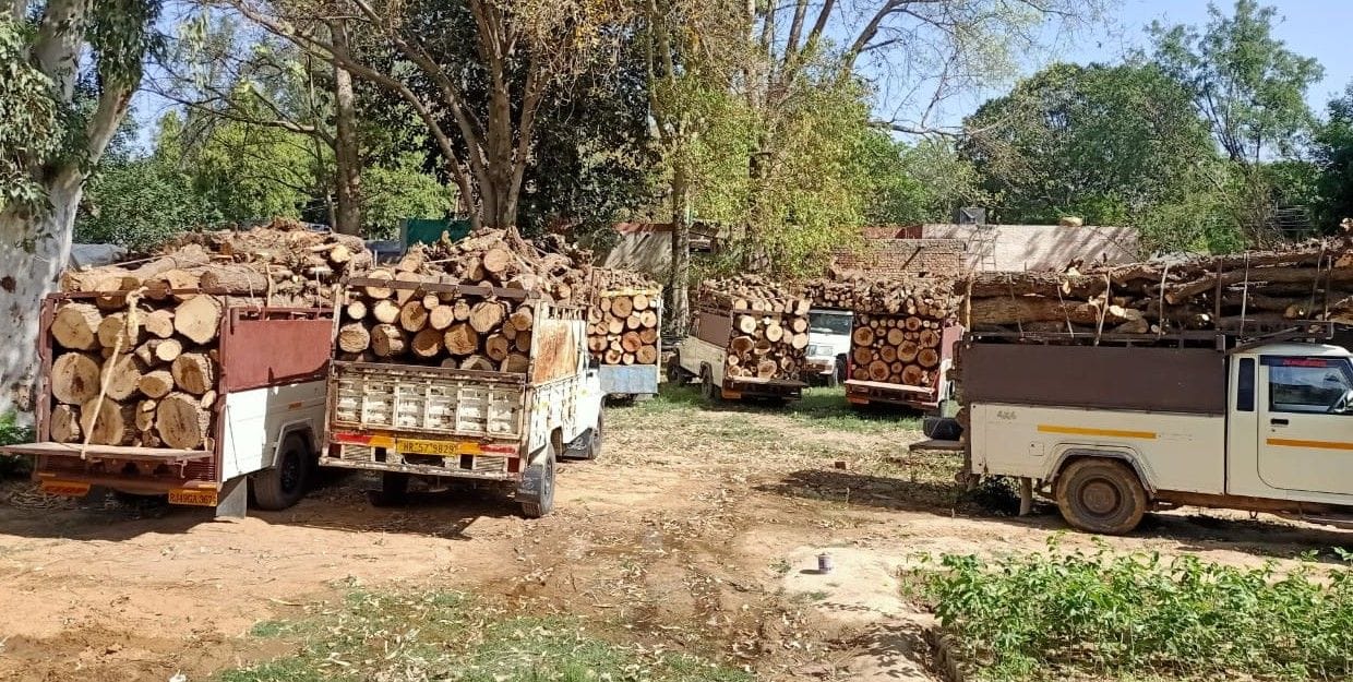 cm flying and forest department raid, 36 vichel caught, case file