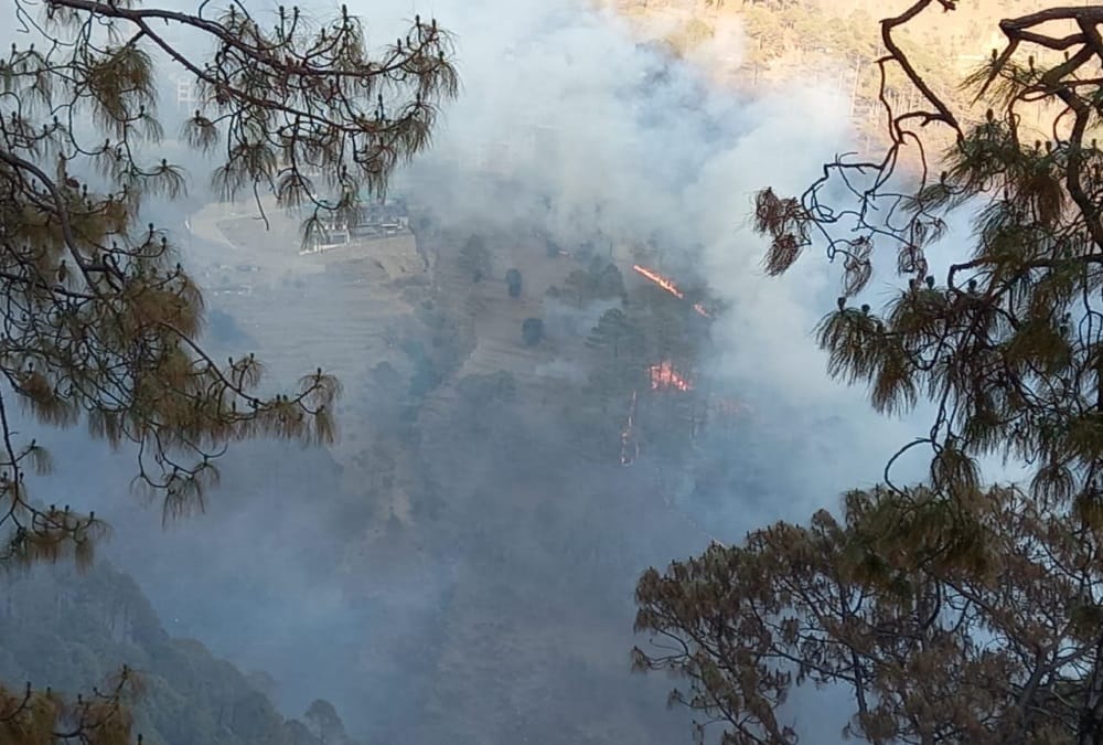 Uttarakhand News: Horrific Wildfire in Forest Area of Haldwani and Garhwal, Many People Scorched Photos