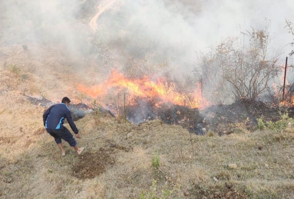 Uttarakhand News: Horrific Wildfire in Forest Area of Haldwani and Garhwal, Many People Scorched Photos