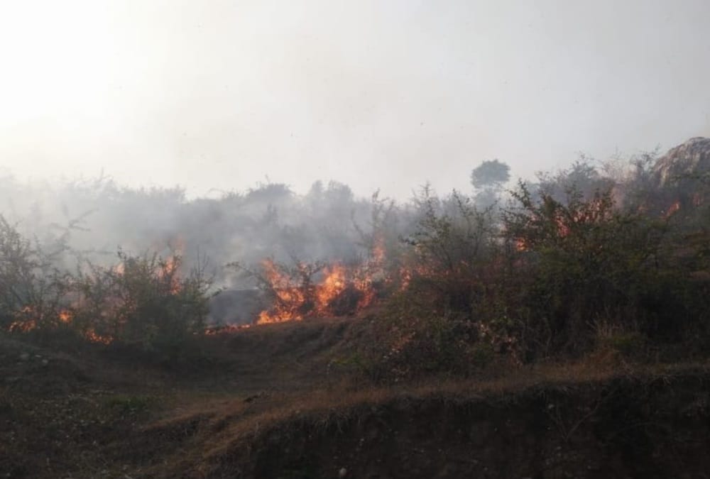 Uttarakhand News: Horrific wildfire in 40 places on mountain area and 69 hectares of forest Destroy in 24 Hours