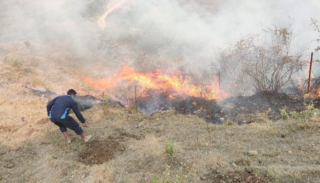 Damage due to forest fire of Kundi Mahra and Raikot